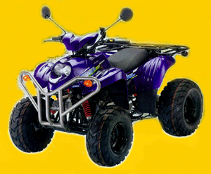 PM-X 50